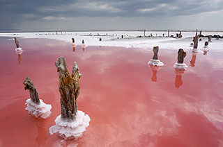 Сасык-Сиваш, розовое озеро (Евпатория)