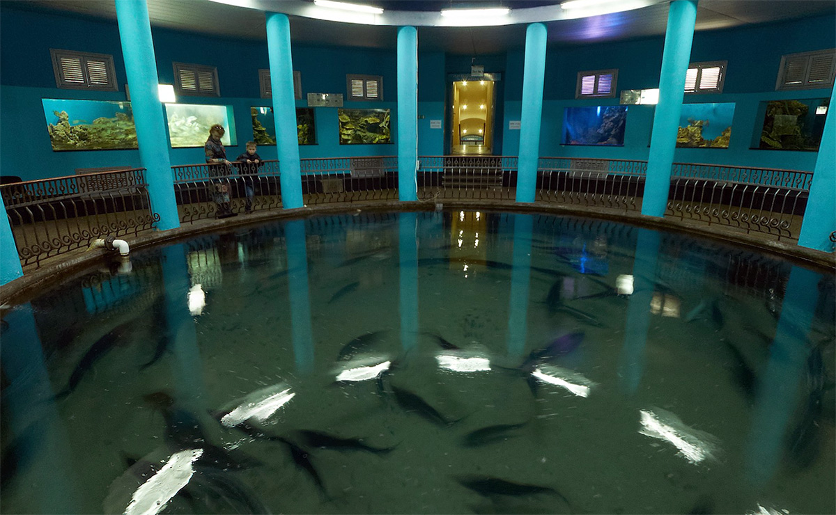 Экспозиция аквариума