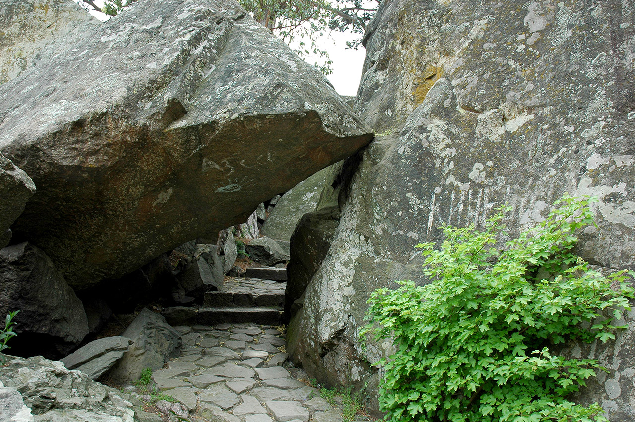 Верхний Воронцовский парк (Алупка) — путеводитель по отдыху в Крыму