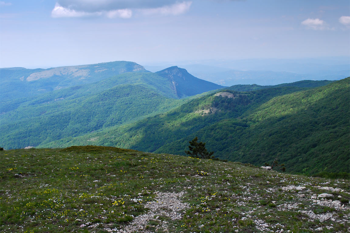 Массив Бойко в Крыму