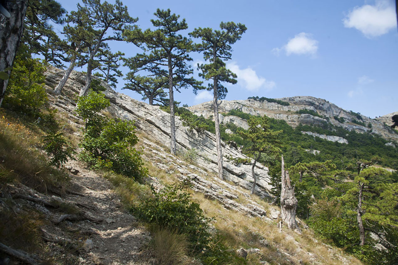 Кореизская тропа на ай Петри