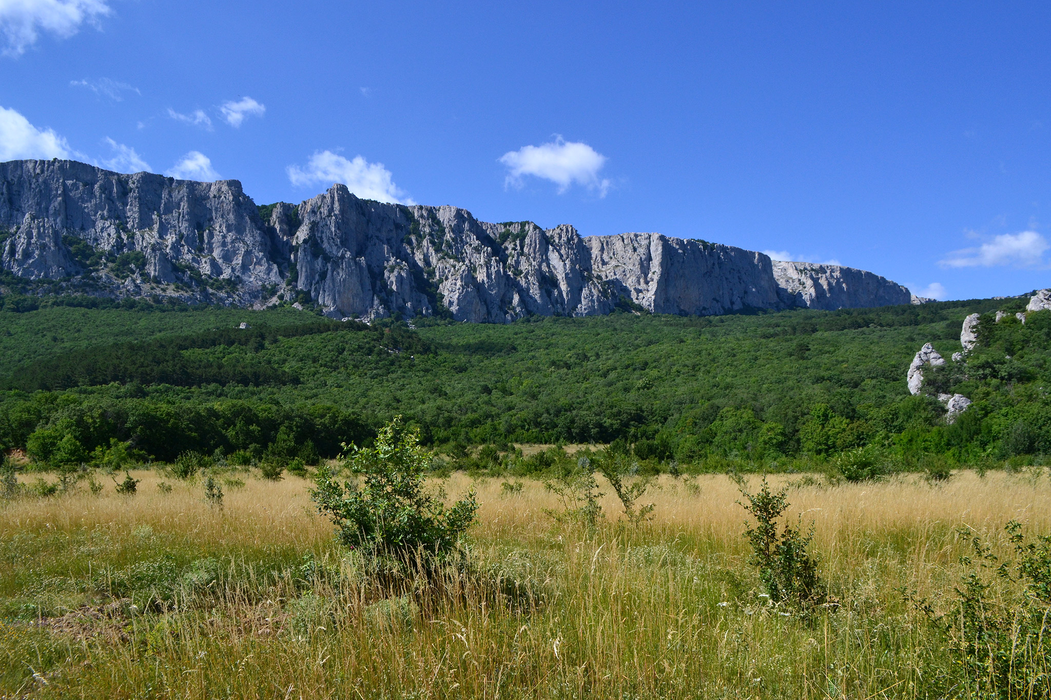 Главная гряда крымских гор. Коль Баир Крым гора. Лысая гора Байдарская Долина. Папас Тепе Крым гора.