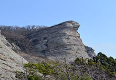 Заказник «Мыс Айя»