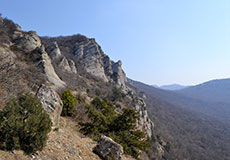 Заказник «Мыс Айя»