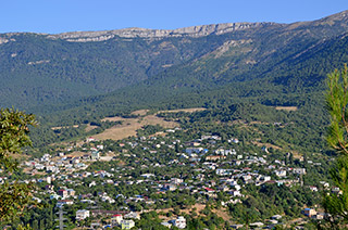 Васильевка (Ялта)