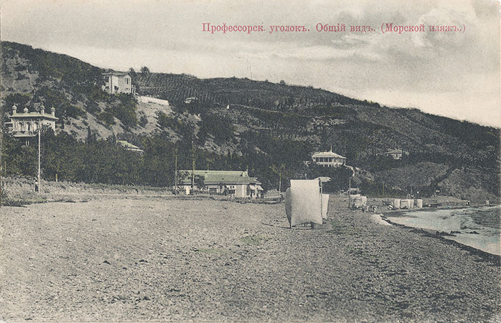 Профессорский уголок. 1908