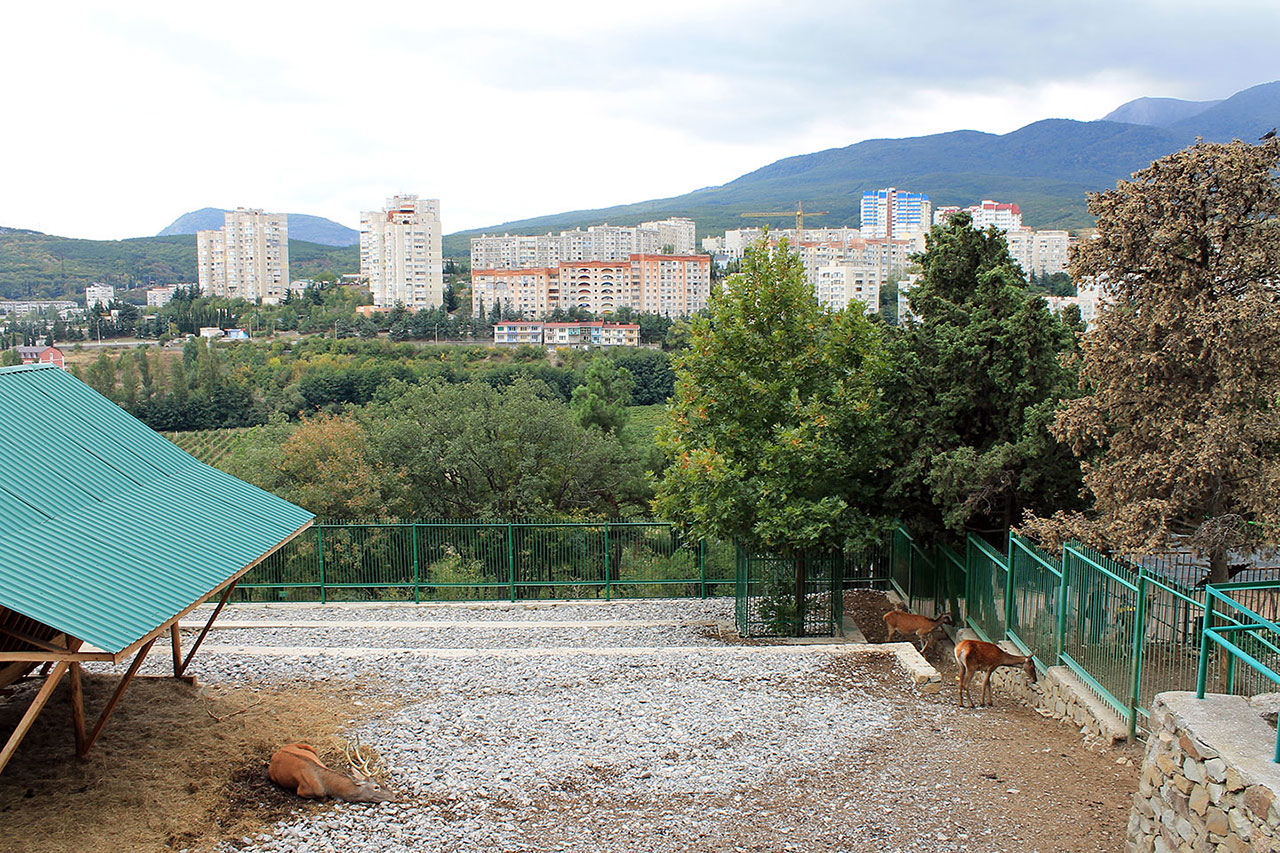 Музей природы крымского природного заповедника (Алушта) — путеводитель по  отдыху в Крыму