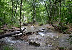 Ущелье Хапхал