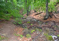 Ущелье Хапхал