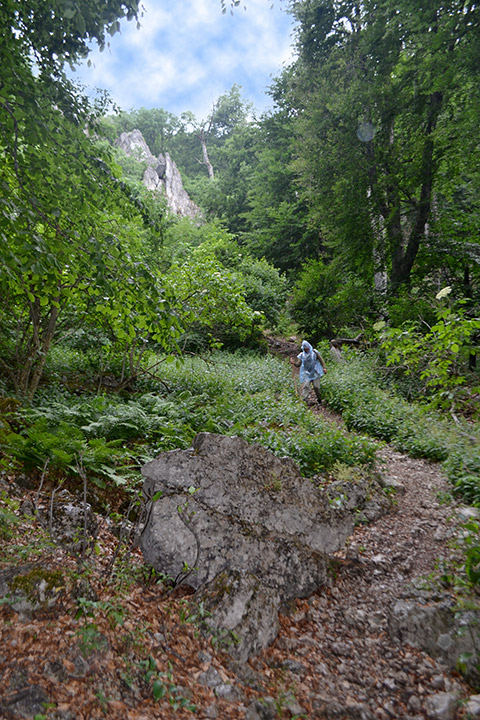Ущелье Хапхал. Спуск