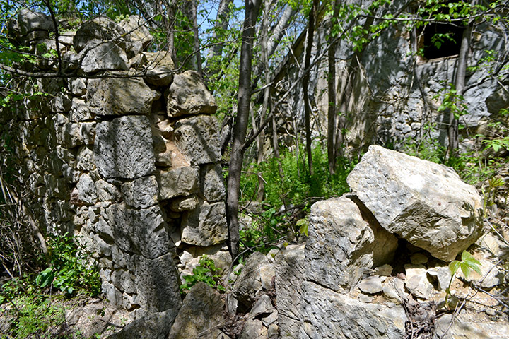 Руины дачи Петрова-Скитальца