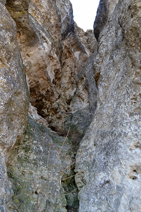Змеиная пещера (грот)