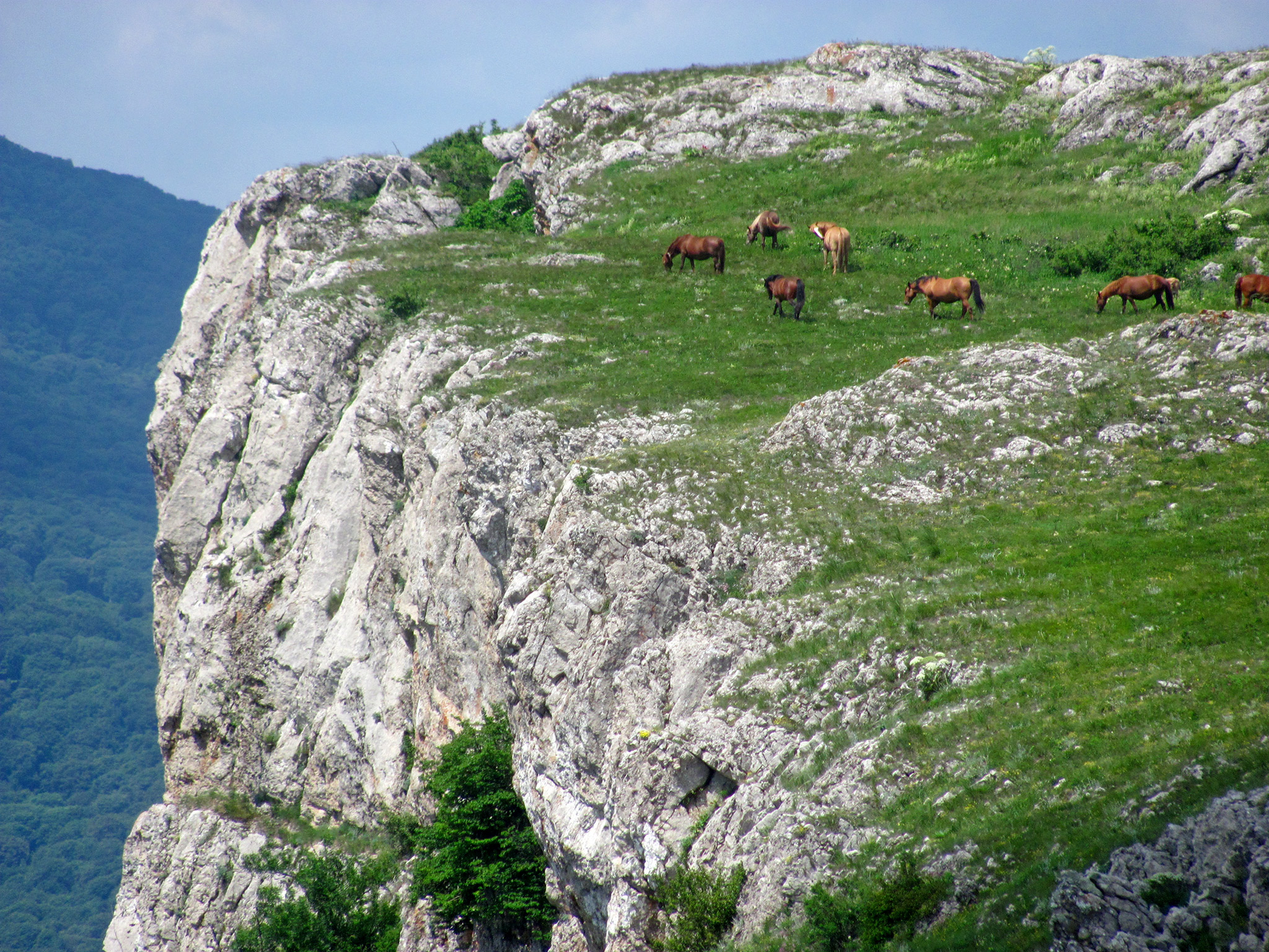 Фото караби яйла