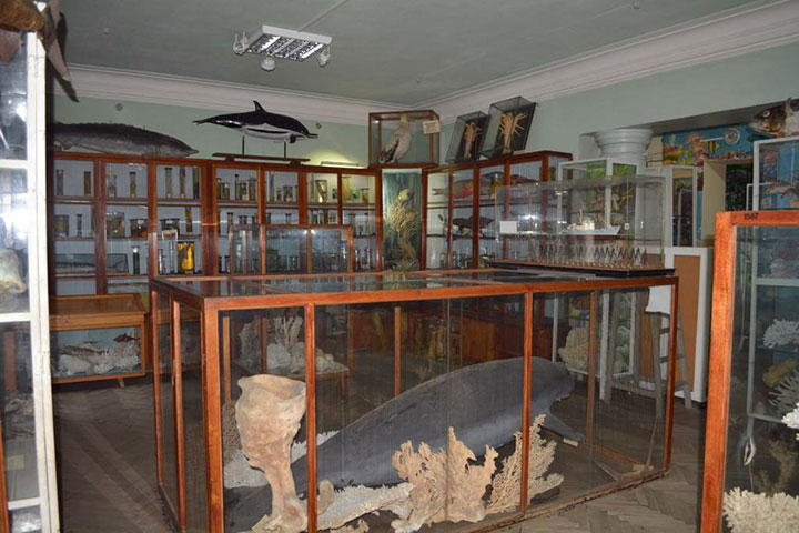 Музей морской фауны и флоры (Керчь)