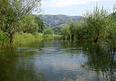 Аянское водохранилище