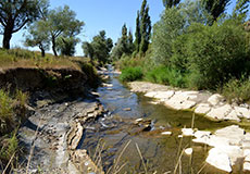 Река Салгир. Окраина с. Доброе. Лето