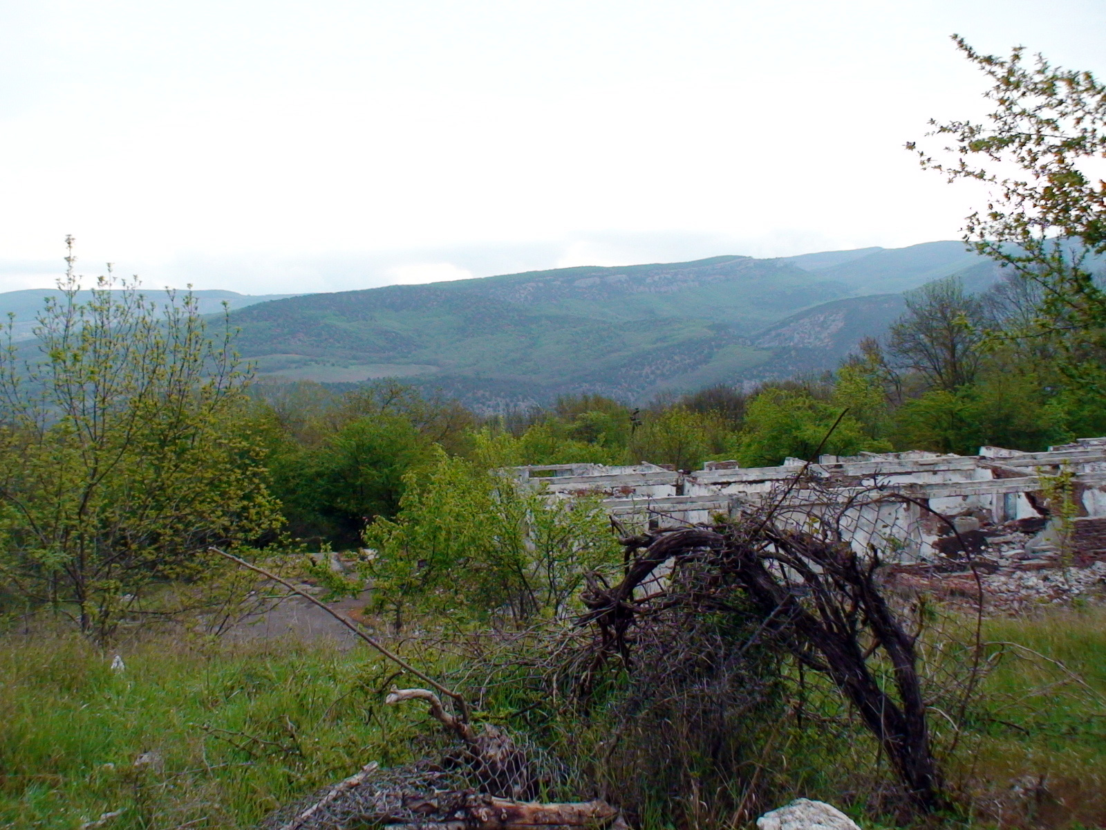 Алсу, урочище (Севастополь) — путеводитель по отдыху в Крыму