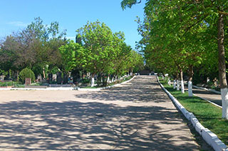 Кальфа