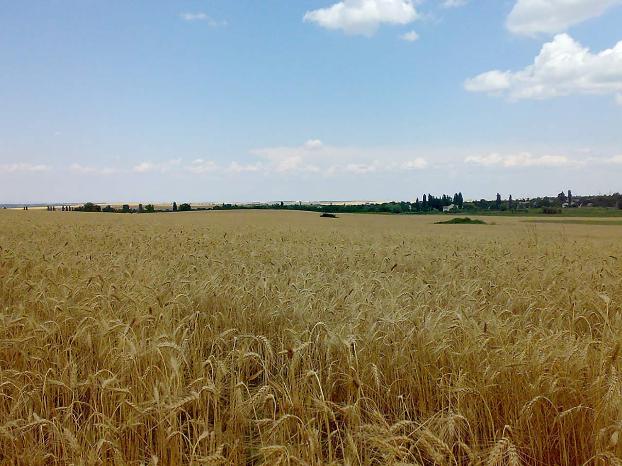 Красновка, село (Симферополь) — путеводитель по отдыху в Крыму