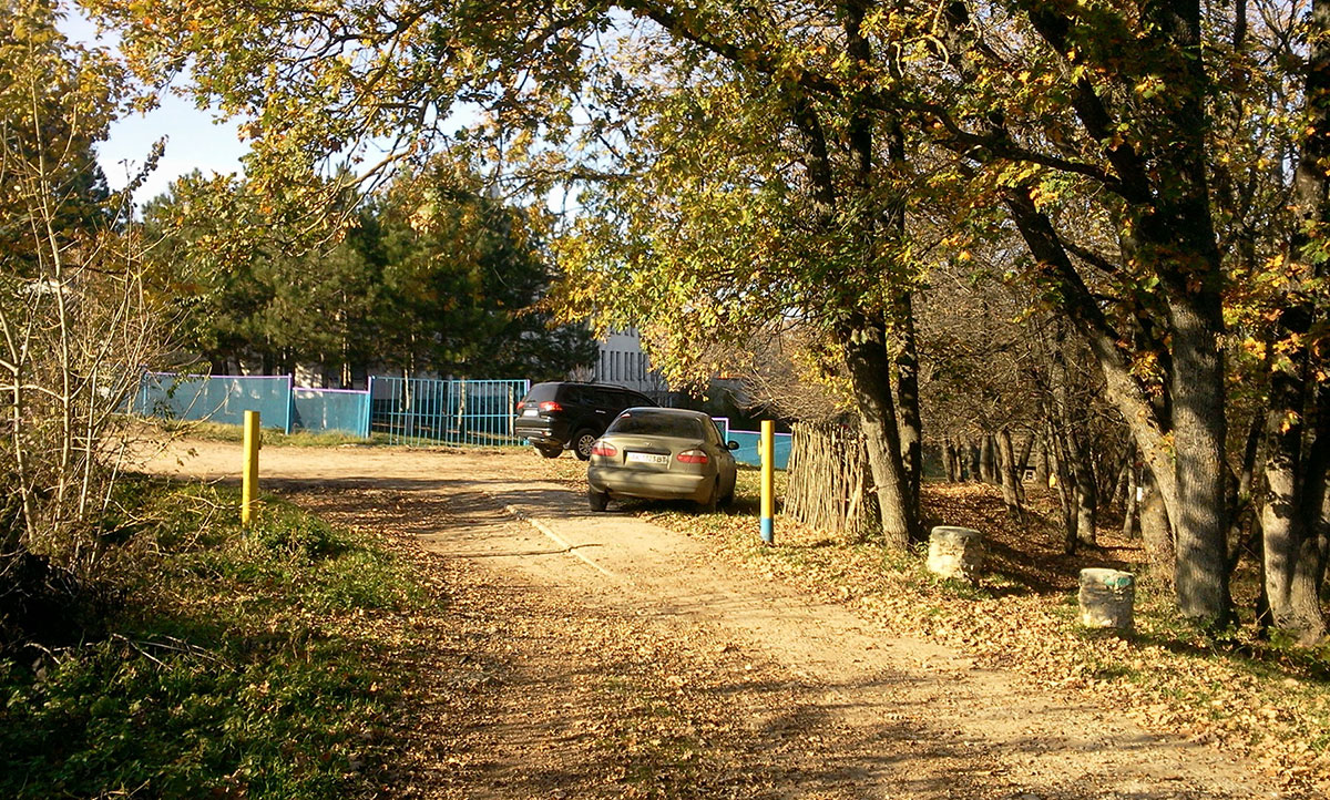 Опушки, село (Симферополь)
