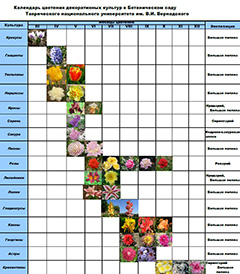 Календарь цветения