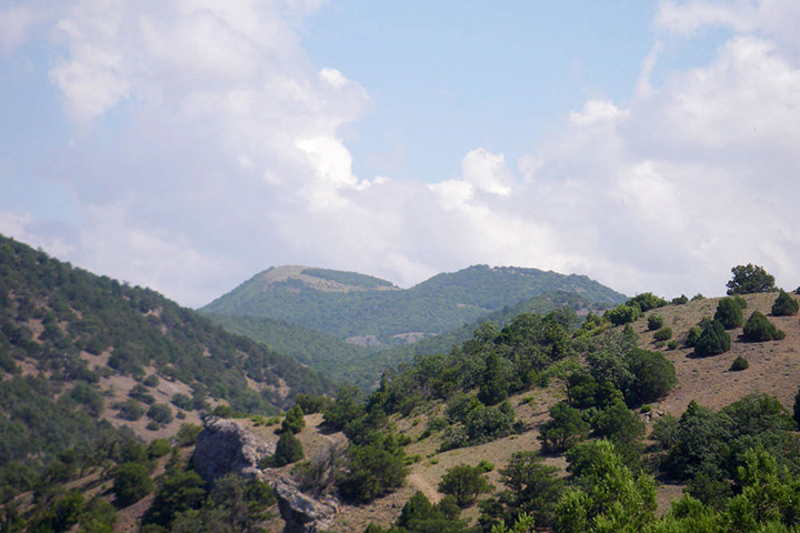 Гора Перчем