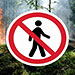 Посещение леса запрещено
