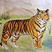 Амурский тигр (Ялтинский зоопарк)